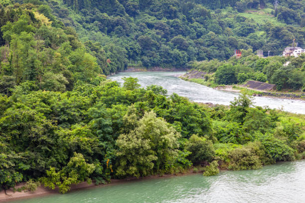 istock Summer green valley river panoramic landscape. Green nature river panorama. 1169750031