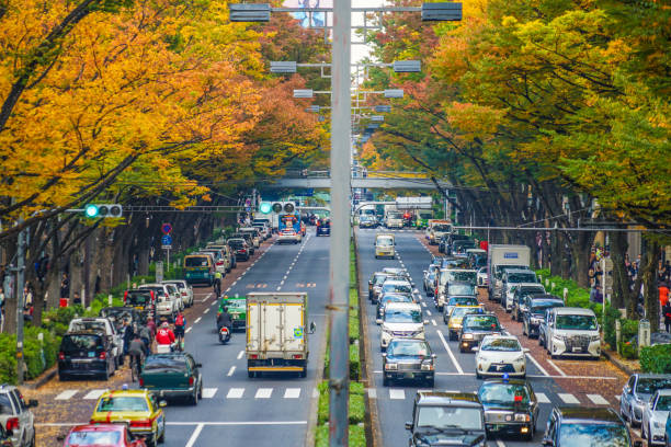 istock Omotesando autumn leaves 1169753083