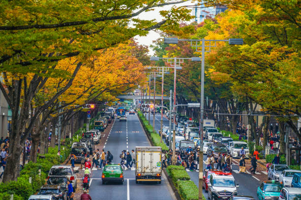 istock Omotesando autumn leaves 1169753095