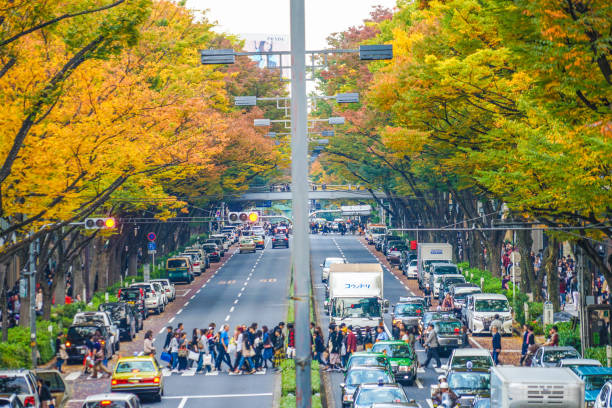 istock Omotesando autumn leaves 1169753101