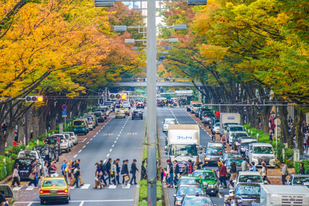 Omotesando autumn leaves