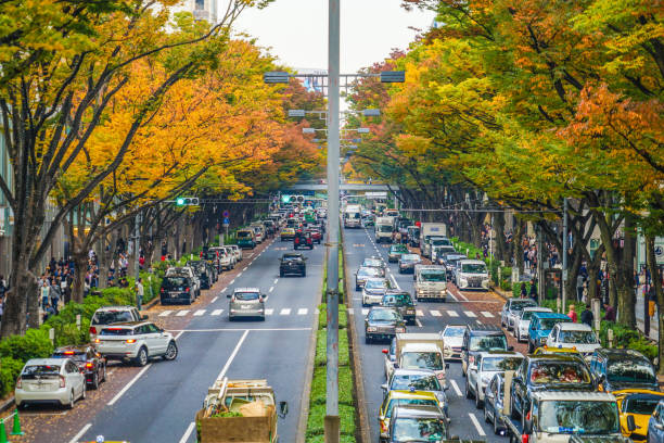 istock Omotesando autumn leaves 1169753109