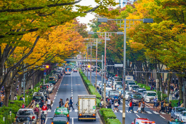 istock Omotesando autumn leaves 1169753114