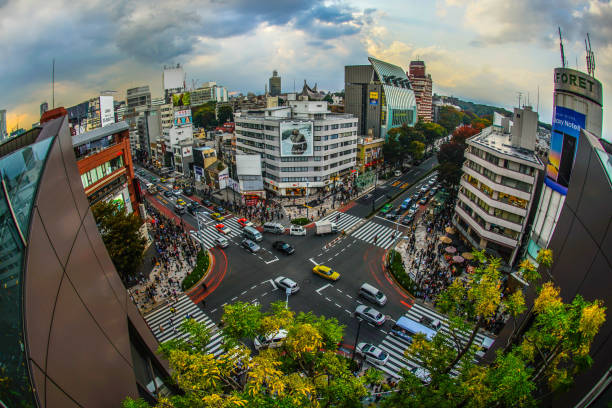 der blick vom harajuku-dach - harajuku district stock-fotos und bilder