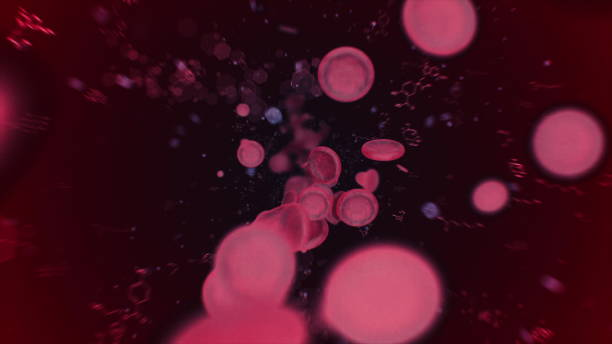 globuli rossi che si muovono nel flusso sanguigno, in un'arteria. animazione 3d delle cellule emoglobine che viaggiano attraverso una vena. - bacterium biology flowing vascular foto e immagini stock