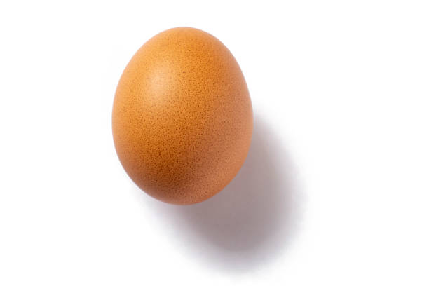 istock Raw eggs Stock photo 1169754512