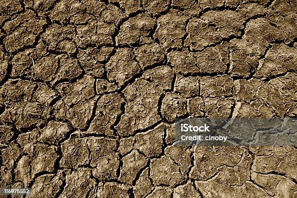 Desiccated 토양 가뭄에 대한 스톡 사진 및 기타 이미지 - 가뭄, 갈색, 강 바닥