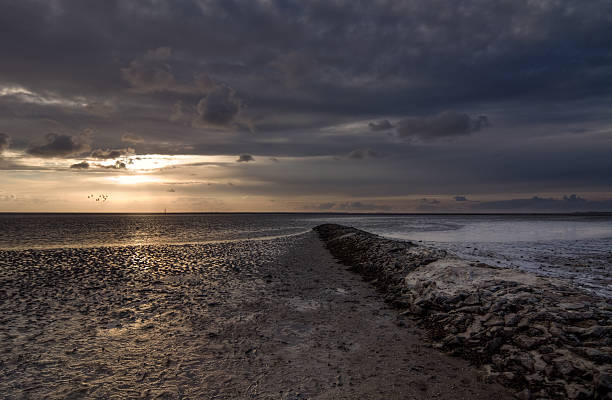 North Sea at low tide at sunset
