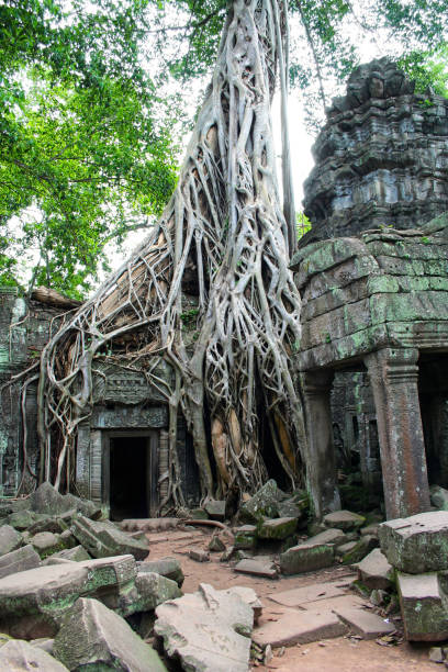 istock Ta Prohm temple in Siem Reap 1169761330
