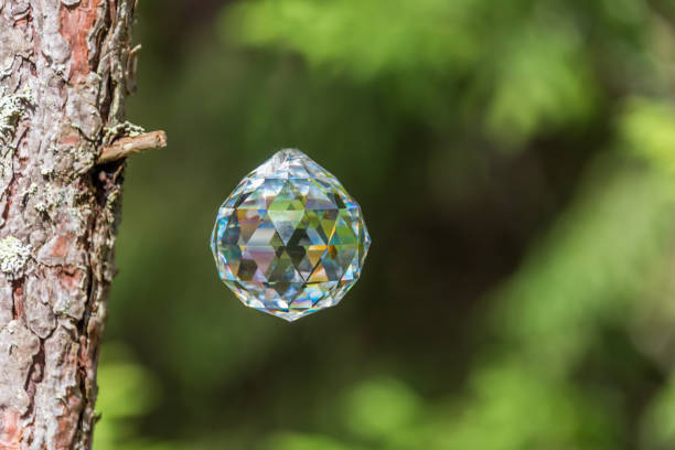 Faceted Crystal in a Forest in Latvia