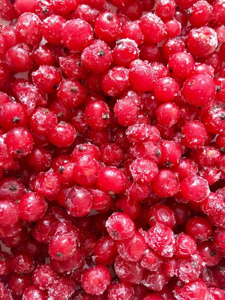 Frozen red currant berries