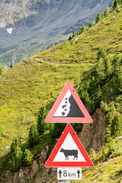 istock rockfall and cow crossing warning in the tyrolean Alps 1169767777