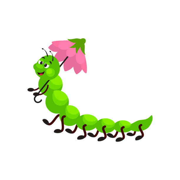 Cartoon Caterpillar Insect With A Floral Umbrella Stock Illustration -  Download Image Now - Centipede, Cute, Millipede - iStock