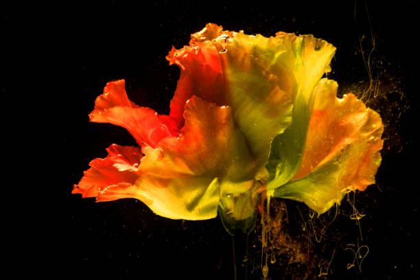 istock Flower in colourful water 1169768832
