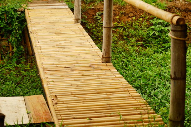 Bamboo walkway in garden Thailand, Bridge - Built Structure, Rainforest, Landscape - Scenery bamboo bridge stock pictures, royalty-free photos & images