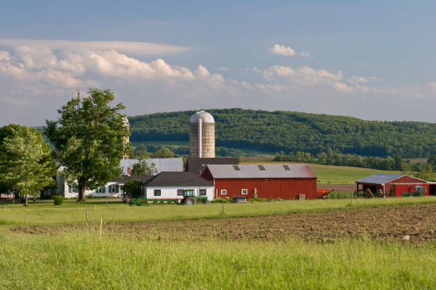 istock Farmstead on a Windy Evening in Early Summer 116977494