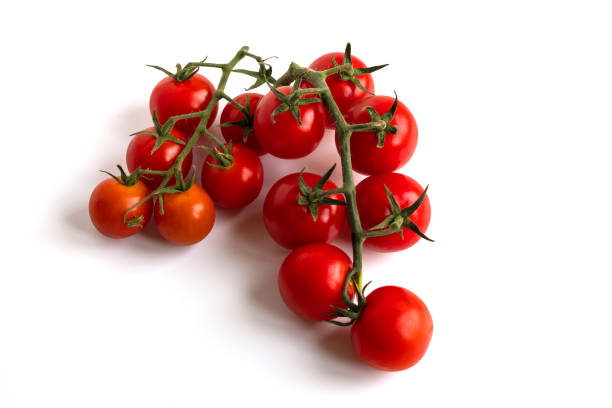 istock Cherry Tomato. Red Round Vegetable Brunch Isolated 1169776247