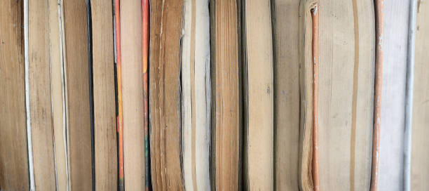 istock View from the butt on the books. 1169776821