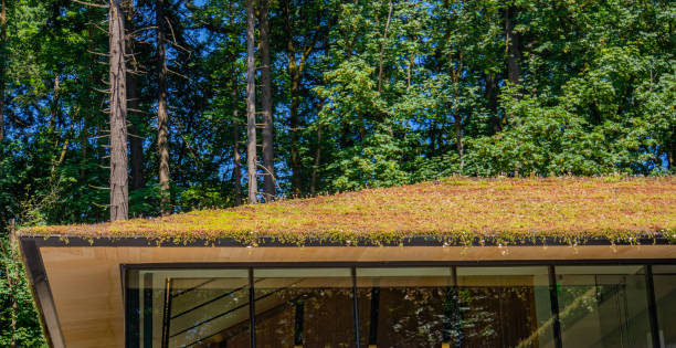 istock green or living roof 1169778041