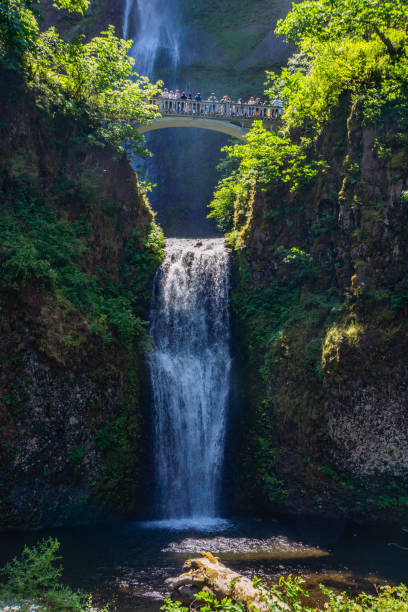 istock Multnomah Falls in Columbia River Gorge, Oregon 1169778179