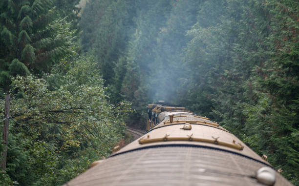 istock Train travel to the Rocky Mountains 1169778341