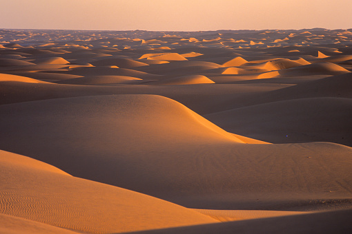 Countless sunset sand dunes that extend to the horizon