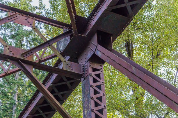 istock Cedar River Trail Bridge Details 8 1169784074