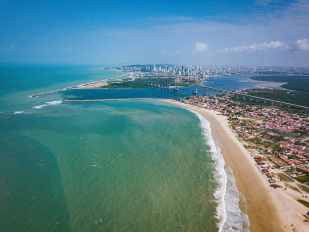 Árvore de Natal Folhada Recheada com Nutella - receita deliciosa profissional - passo 1