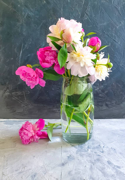 istock peony flower vase on gray concrete background 1169795249