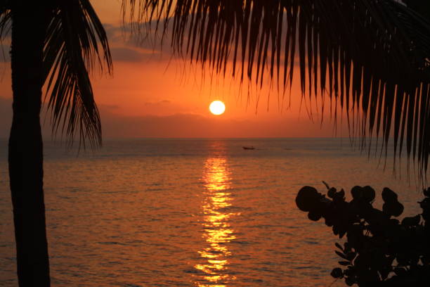 istock Caribbean sunset boat in distance 1169795440
