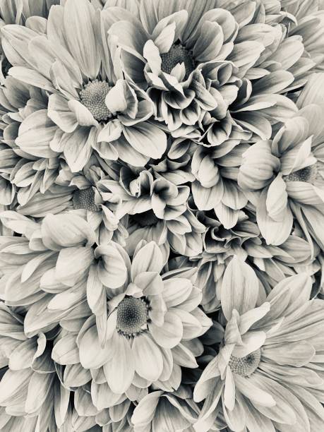 istock Floral background black and white 1169797958