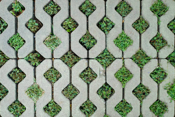 concrete grass paver block background
