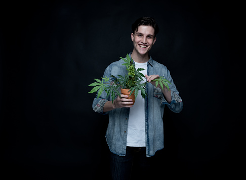 Handsome young man is holding a marijuana plant