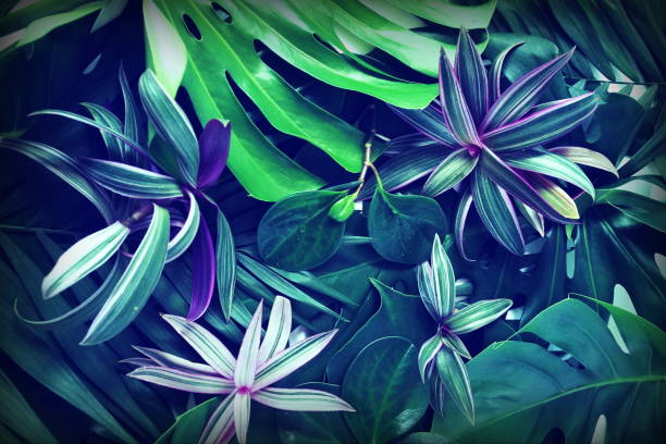 istock Creative abstract tropical green leaves pattern layout full frame background. Nature concept 1169801760