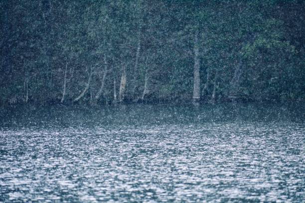 istock Lake in the rain 1169803313