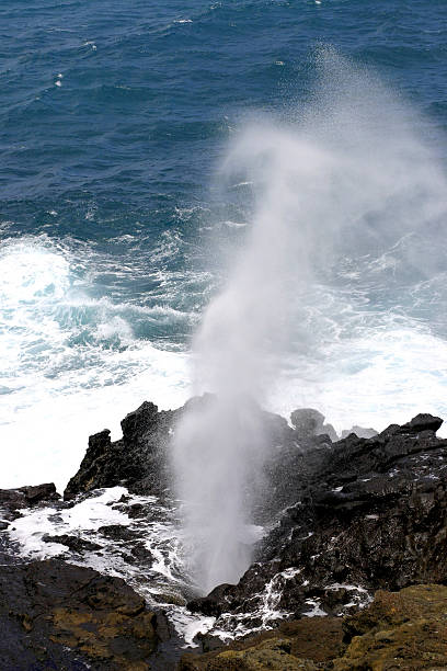 istock Blow Hole on Oahu, Hawaii 116980459