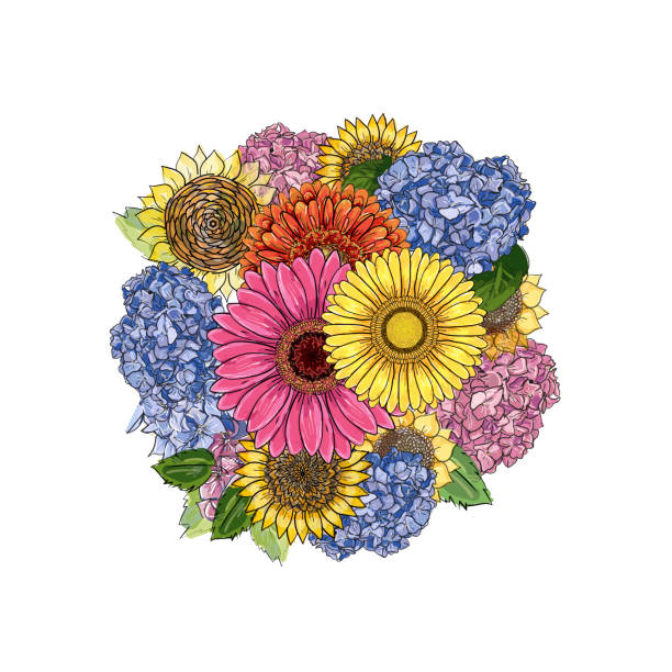 istock round bouquet with gerbera, sunflower, hydrangea. Hand-drawn contour lines and strokes. Element for design. Colorful sketch illustration. flower frame round vector on white background, 1169807376