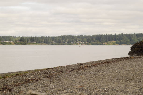 バーフットパークで朝の間にプゲット音の漁師 - water tranquil scene puget sound cloudscape ストックフォトと画像