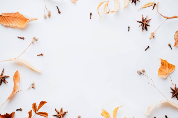 istock Autumn vibes. Dried leaves on white background 1169808900
