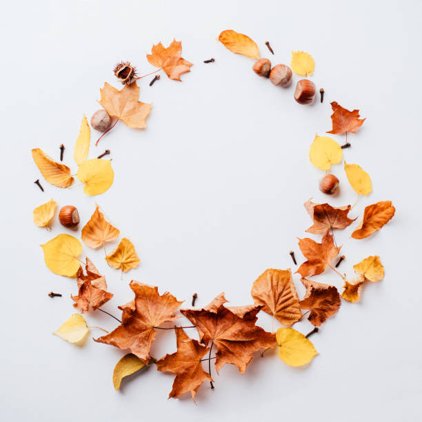 istock Fall yellow leaves wreath on white surface 1169808911