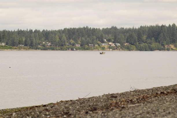 バーフットパークで朝の間にプゲット音の漁師 - water tranquil scene puget sound cloudscape ストックフォトと画像