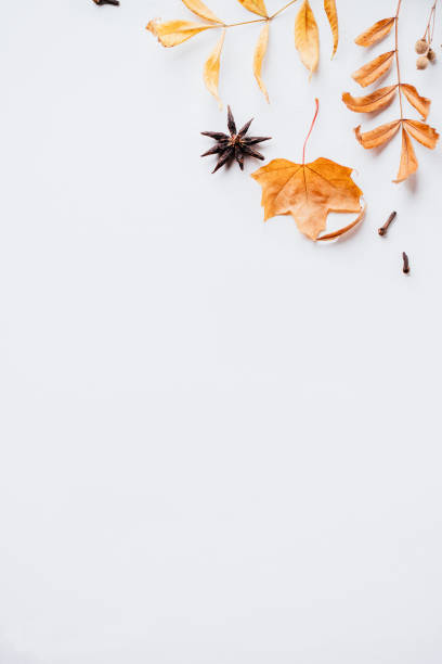 istock Autumn floral design greeting card 1169808946