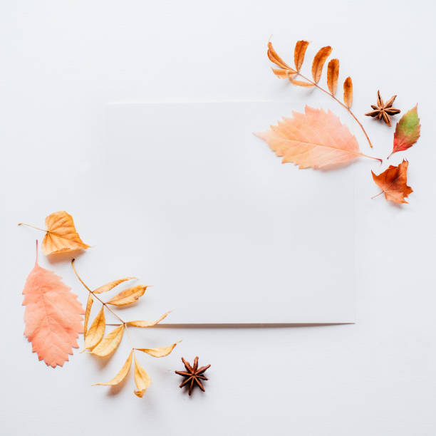 istock Autumn party invitation with foliage decoration 1169808986
