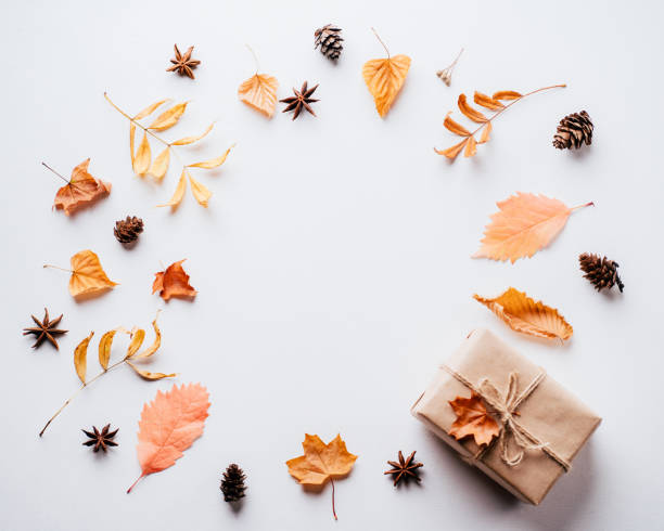 istock Autumn vibes, thanksgiving day present and decor 1169808990