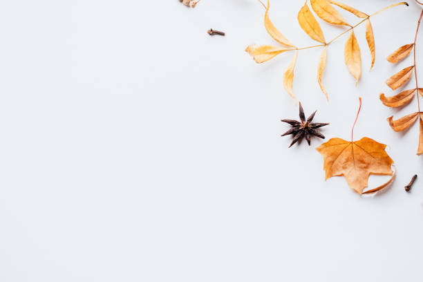 istock Autumn floral design greeting card 1169808992