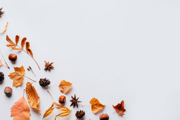 istock Autumn season abstract background 1169808993