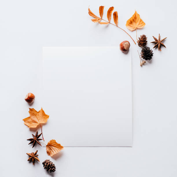 istock Autumn composition, thanksgiving day greeting card 1169808996