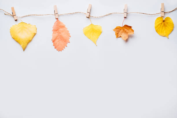 istock Autumn composition, thanksgiving day greeting card 1169809012