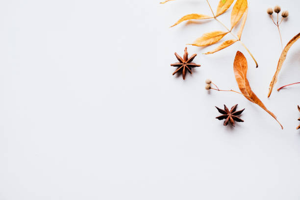 istock Autumn composition of dried leaves on white background 1169809016