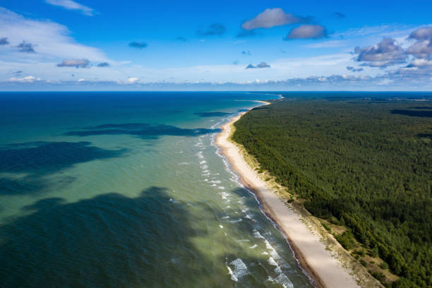 istock Peaceful sea and cloudy blue sky. Horizon line. Forest. Sand beach. 1169810884